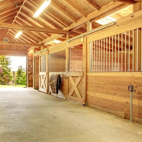 New Year Warrants New Definition of a Clean Barn