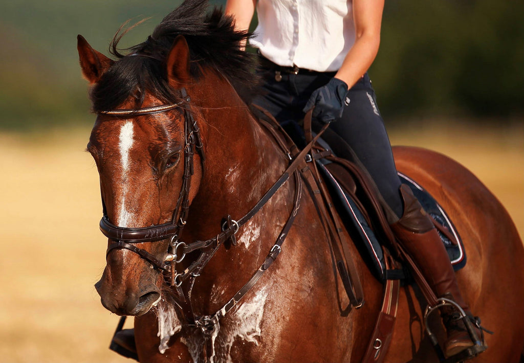 If You're Hot, Your Horse is Hotter