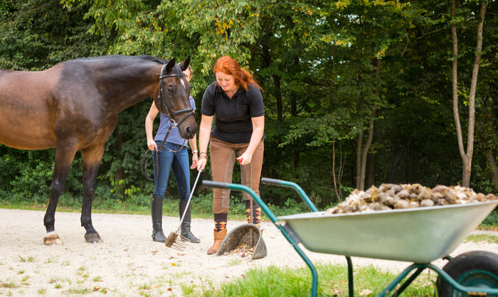 Top Tips for Sustainable horse keeping