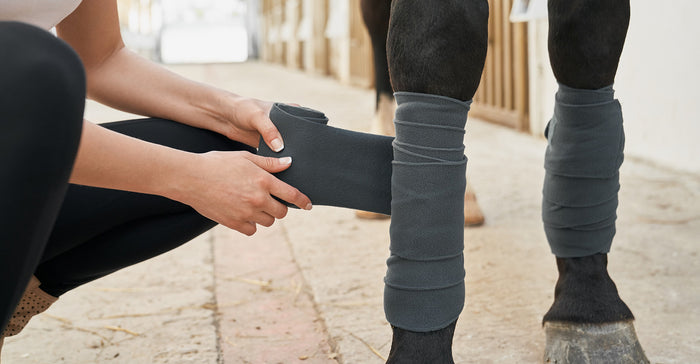 Why do horses suffer from filled legs?